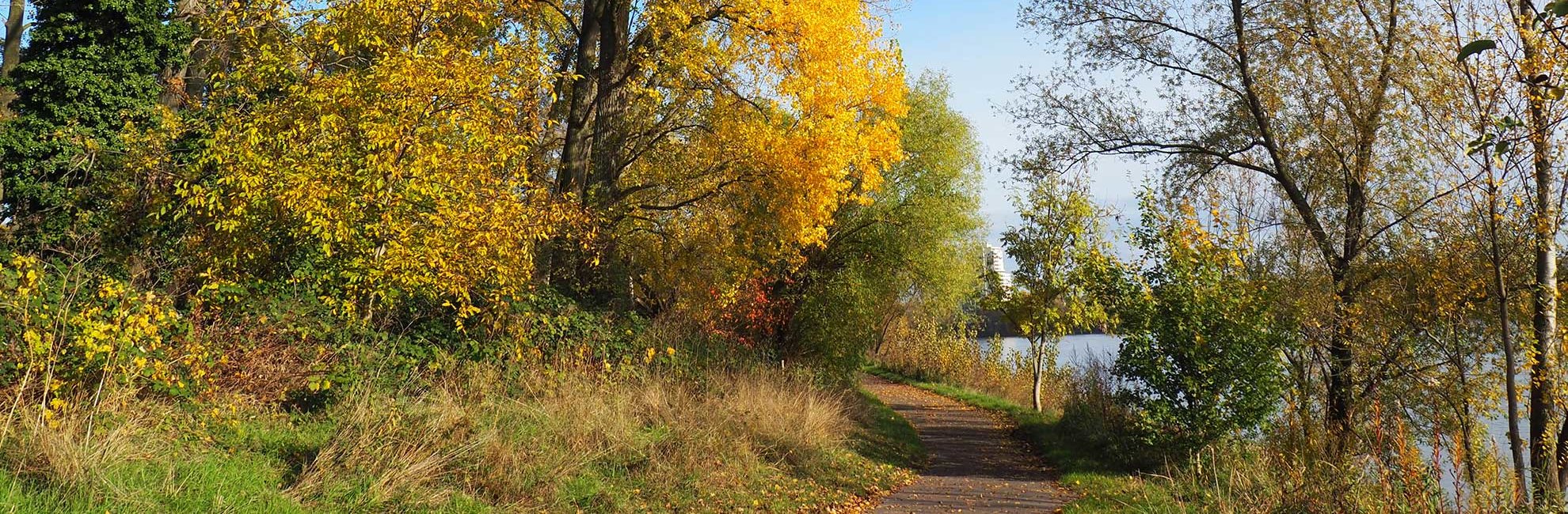 Weg am Weißer Bogen in Köln-Weiß